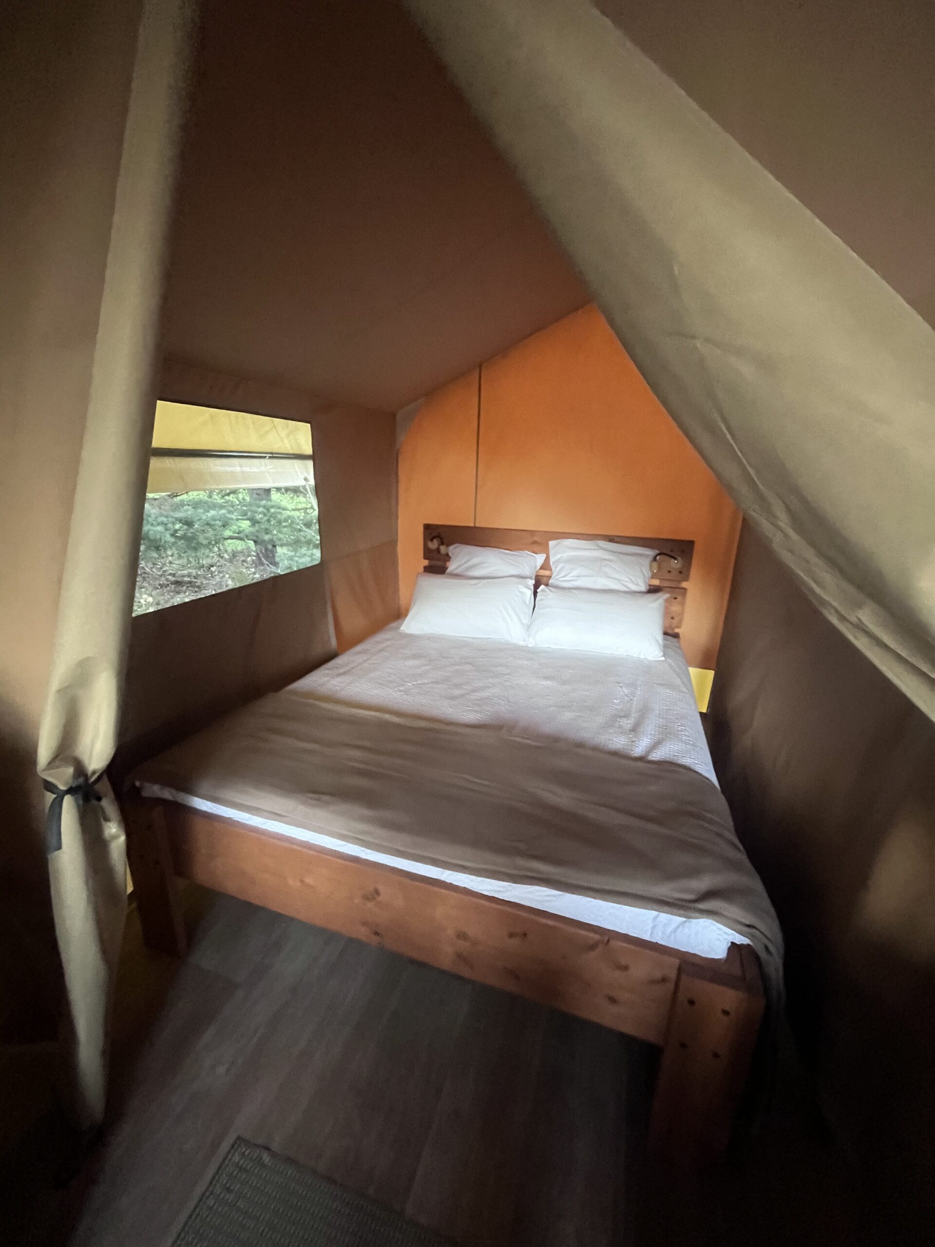 Chambre de la tente safari avec un lit simple et une fenêtre en toile ouverte sur la nature