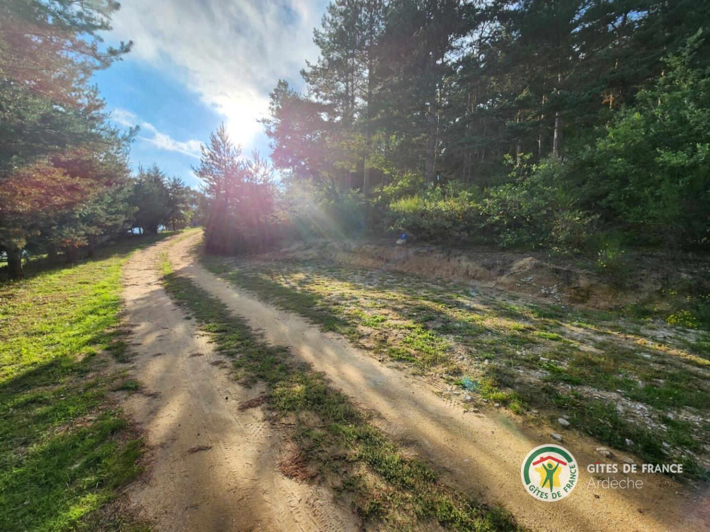 Chemin forestier du domaine baigné par la lumière rasante du lever du jour