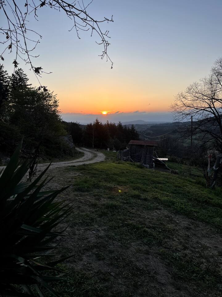 Coucher de soleil sur la vallée depuis le chemin du domaine, silhouettes des arbres au premier plan