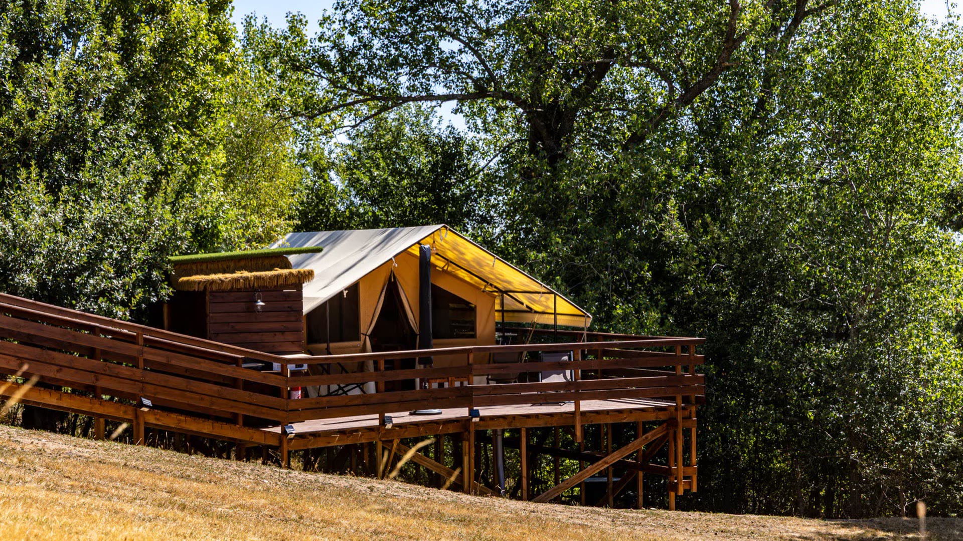 Tente safari L'Estiva perchée sur sa terrasse en bois à l'orée du bois, au bout d'un pré doré du Domaine Solio, en Ardèche verte