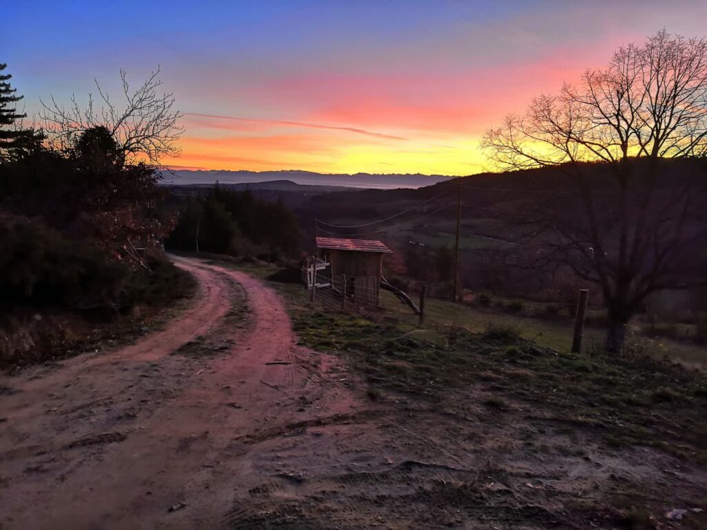 Le soleil couchant embrase le chemin du domaine