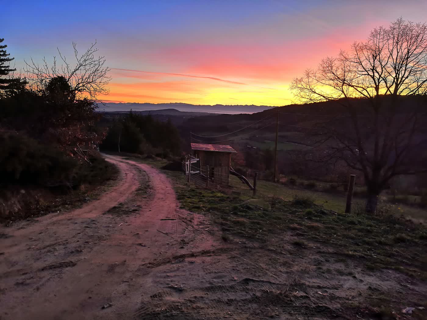 Le soleil couchant embrase le chemin du domaine