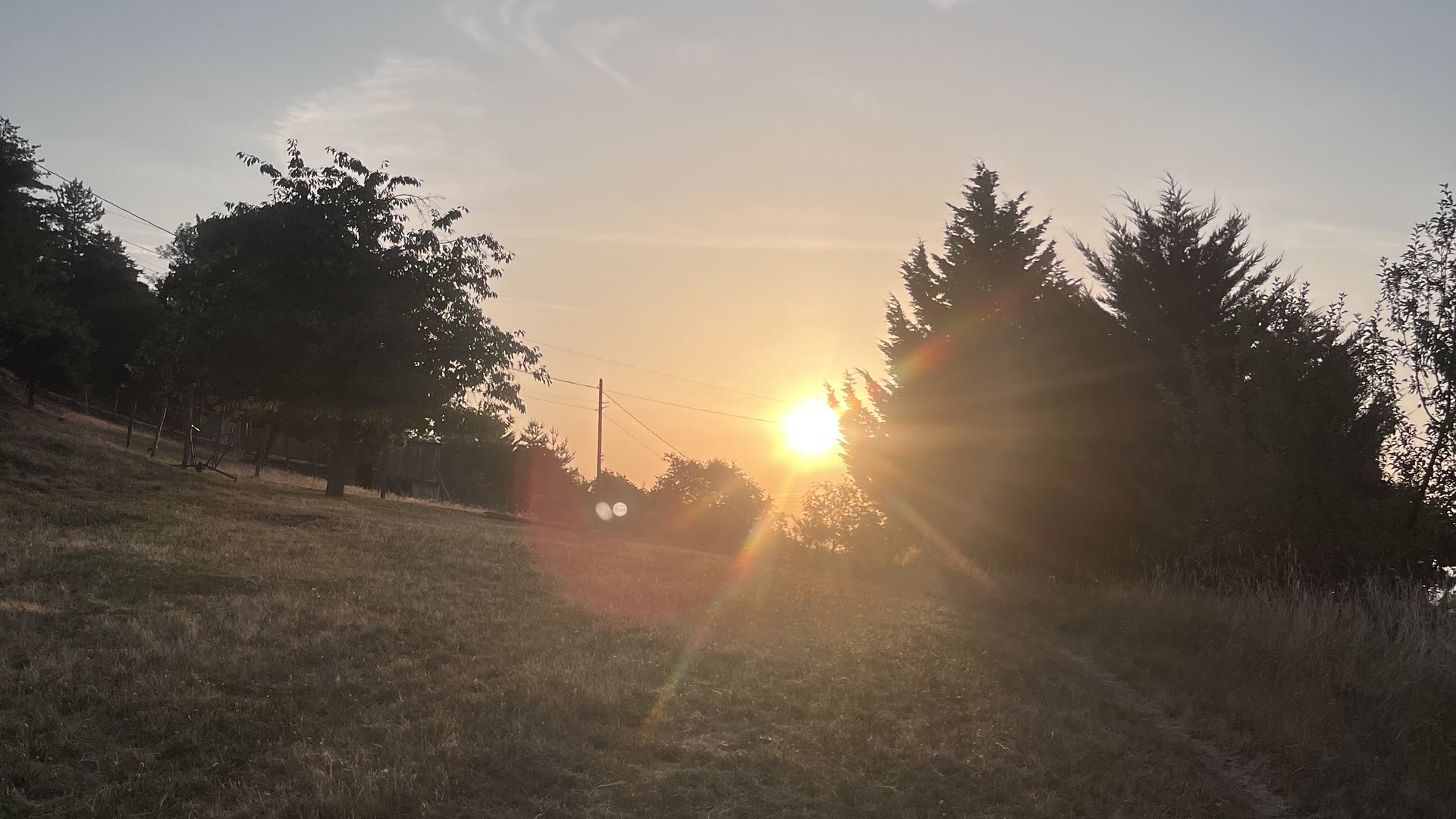 Prairie du Domaine Solio à contre-jour au lever du soleil, la forêt d'Ardèche en fond